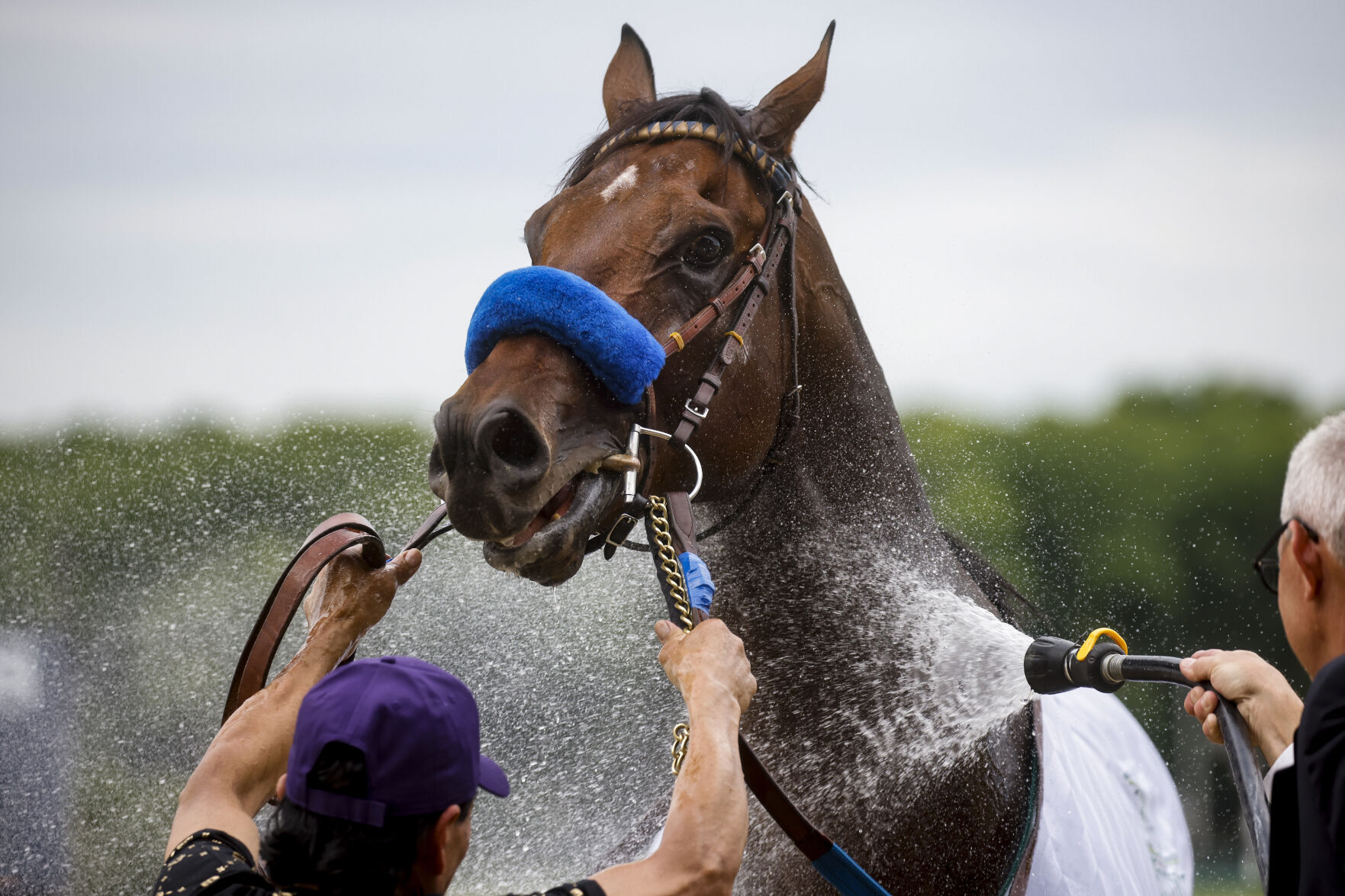 Belmont Stakes Horse Racing